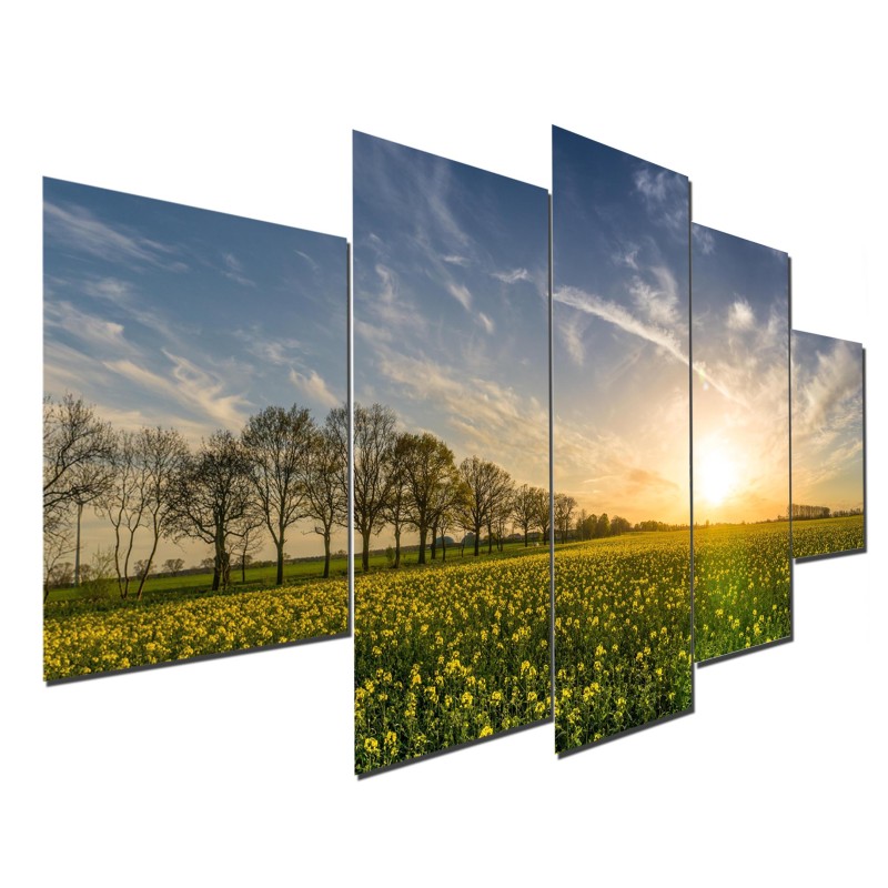 Quadro decorativo mosaico foto tema, Campo de Flores, Mdf 2,5mm 115x60cm 5pçs